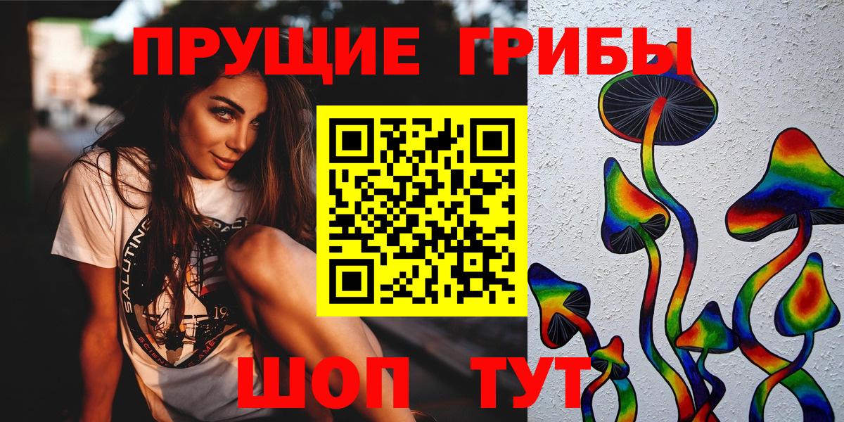 Рассказово  Псилоцибиновые грибы Magic Shrooms  Галлюциногенные грибы Magic Shrooms  закладка  Вход с VPN 