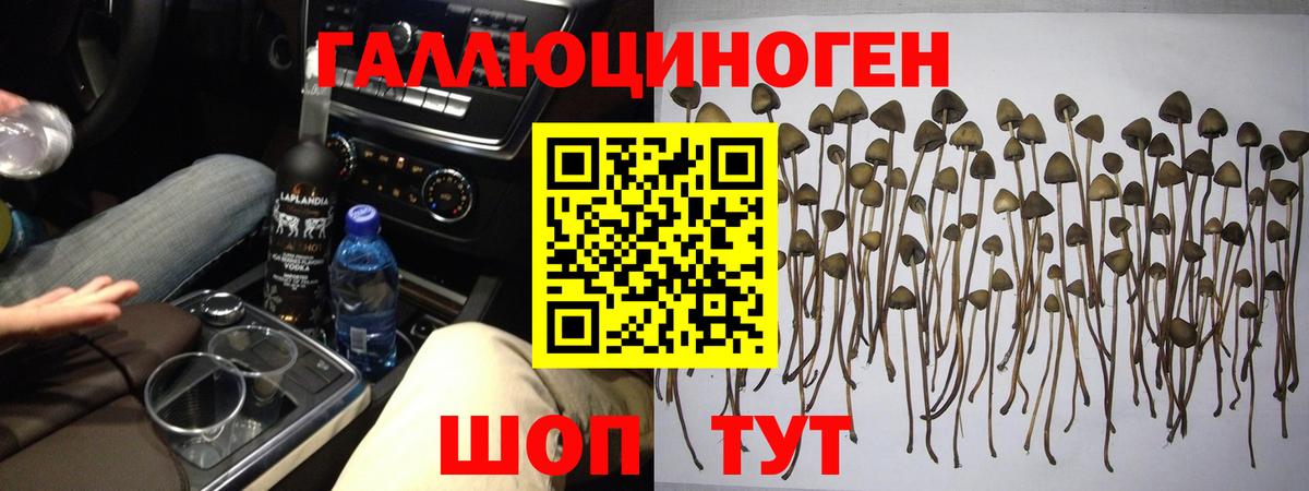 Галлюциногенные грибы мухоморы Рассказово